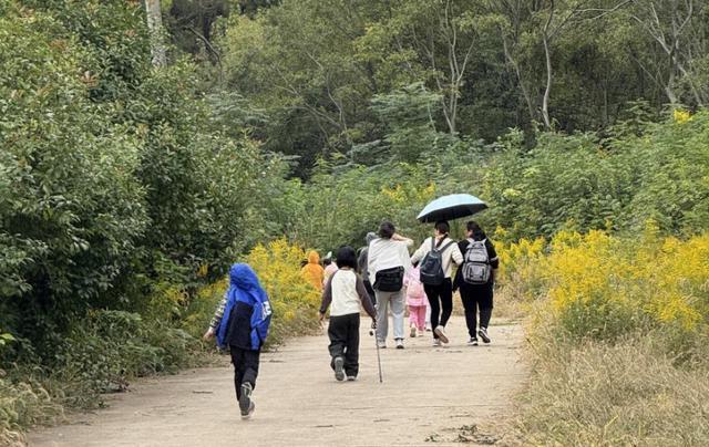 淮阴师范学院第一附属小学：相伴登秋山 温情满重阳