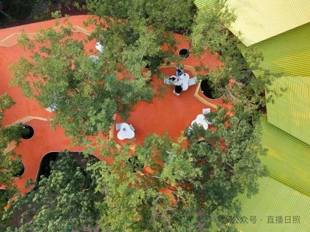 打工暂停！来日照这里，做一回「显眼包」！