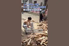 凌晨坐9小时绿皮火车返乡，大学生五一帮父亲砍了1800斤柴图片