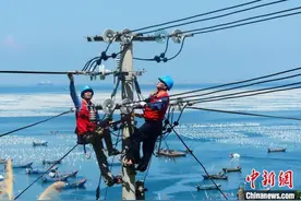 浙江：从能源视角看山海城乡差距“解法”图片