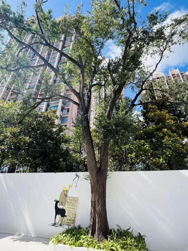 普陀·遇见新视角｜地铁11号线串起“潮玩地图”，一起来解锁普陀青春副本