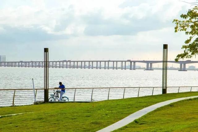 来南沙看五月天！看海、骑行……100+网红打卡点合集→