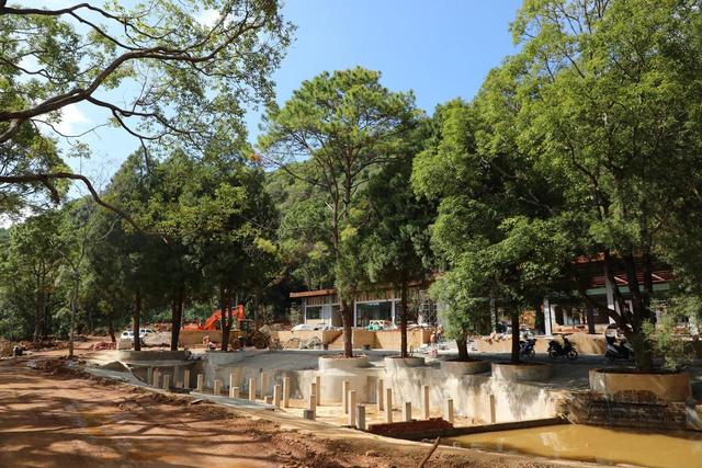 期待！普洱山茶旅融合项目预计2026年元旦前竣工投用