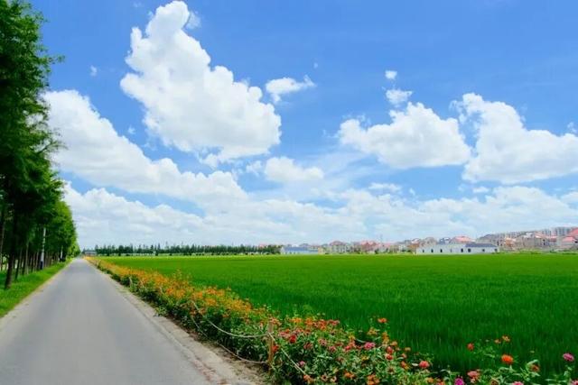 2025年宝山区丰收节暨“幸福宝山路 魅力乡村行”宝山职工徒步赛即将开赛！