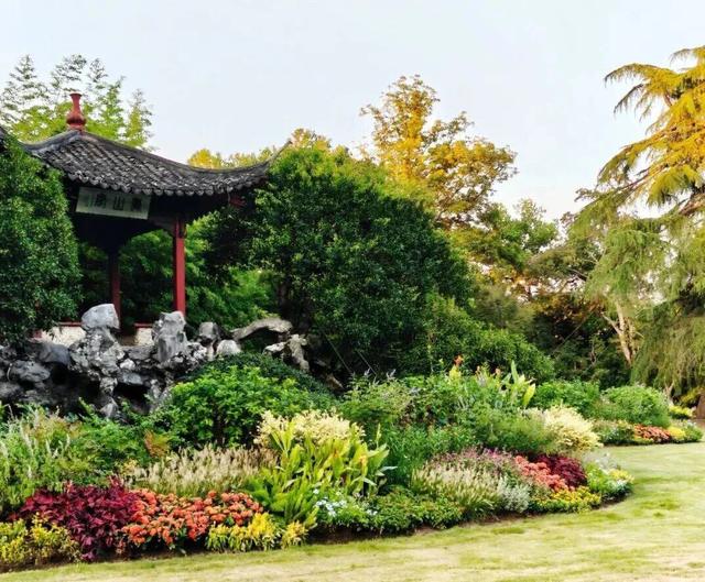 西湖“花漾”盛宴已就位！33处花境等你国庆假期来打卡