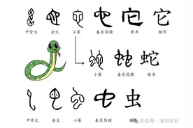 蛇年说“蛇”图片