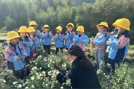 安心托幼延时新 悦行田野采菊“趣”——绩溪县幼儿园雏英校区户外实践活动图片