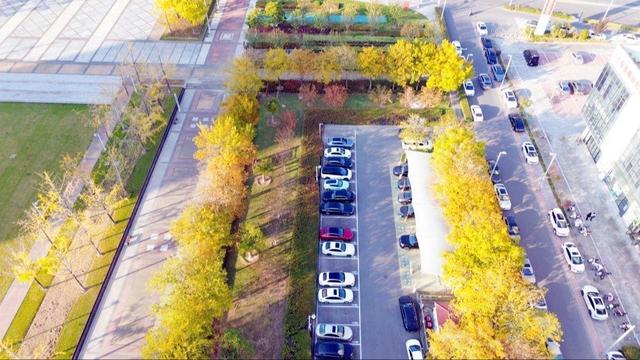 🧡宿城，已经美成这样！