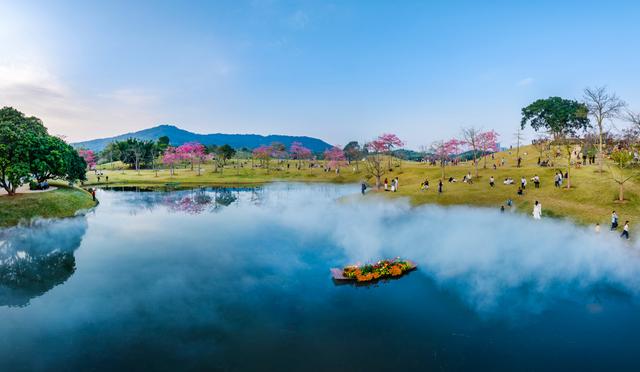 广西南宁：冬日花海醉游人