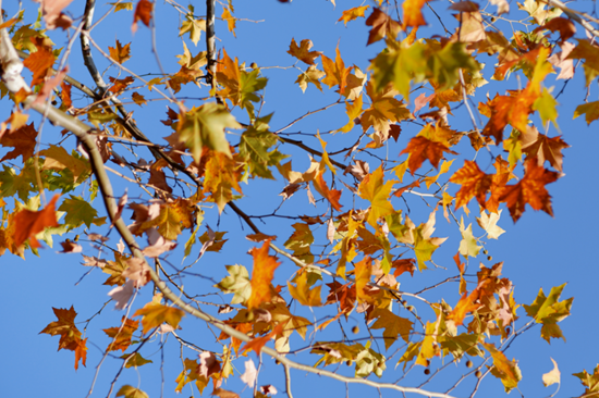 金山这些地方不小心被“曝光”了！