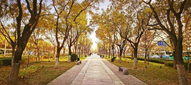 《中国国家旅游-天桥专辑》出版发布 解锁天桥文旅融合新图景