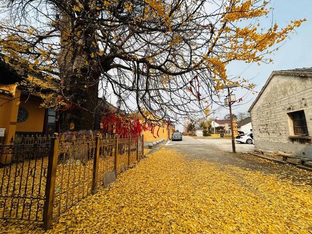 乡村·新玩法 |文旅消费场景焕新 寻找别样乡愁