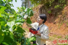 三明泰宁：生态农场借绿出圈 绘就乡村振兴新图景图片