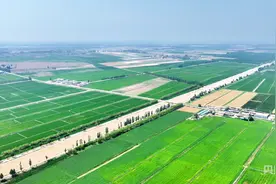 高质量发展看中国 | 宁夏：最严格水资源管理的“塞上江南”实践图片