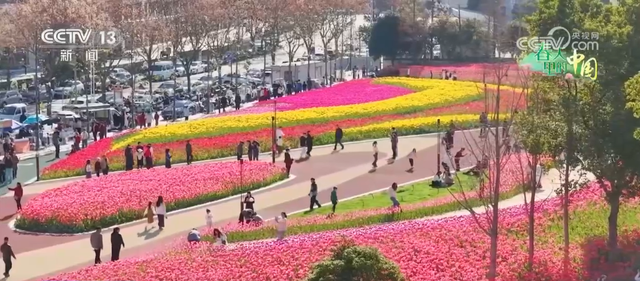 去踏青、共赏花，春意正浓！““春日经济”蓬勃绽放