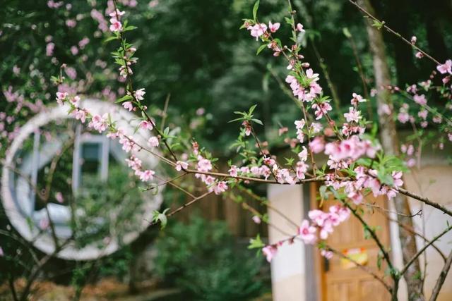 全运专属福利！花都多个景点门票，免费！