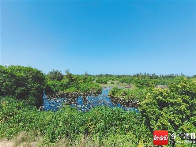 昌江“双节”旅游财丁两旺：山海黎乡有何“圈粉”密码？