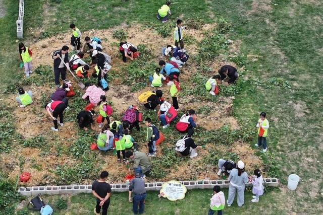 美翻！万亩稻田“丰”景藏不住了，11月23日高明稻马见～