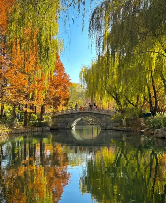 再走一遍老舍的济南