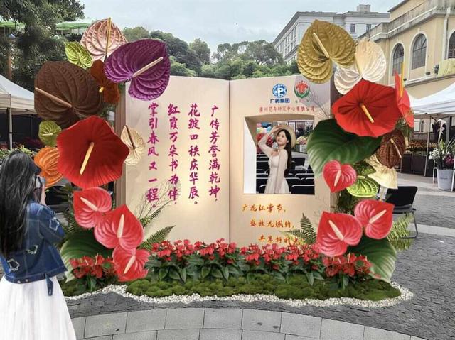 来广州沙面赏红掌！首届广花红掌艺术节将在11月举行