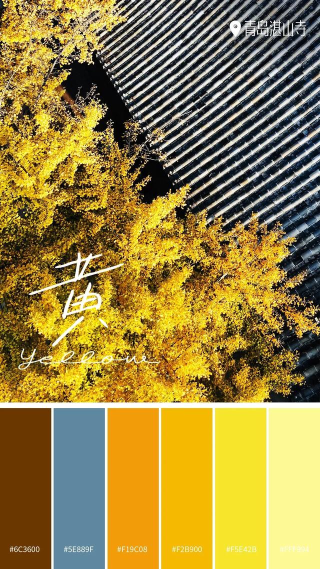 山东秋天的限定「色卡」，你集齐了吗？