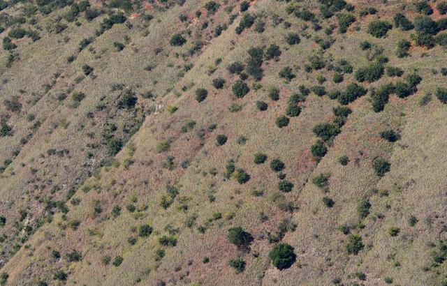 暖游玉溪元江体验“中国萨王纳”的旷野魅力
