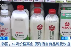 中国冰淇淋火了！怎么回事？图片