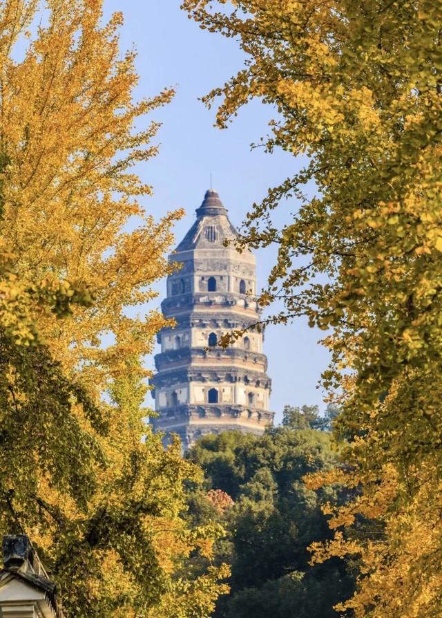 正式亮相！古城添新，相约最美的季节~