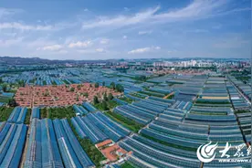 潍坊临朐：樱桃挂满枝 产业发展一路“红”图片