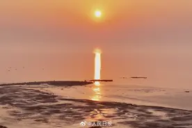 金灿灿的“潮汐树”有多壮观图片