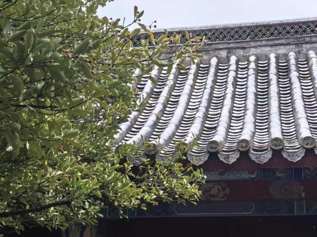 一夜雪花落崂山，琼楼玉宇翩若仙