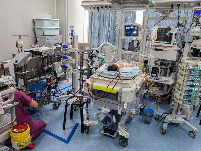 生命之光ECMO：广妇儿中心六年救治47名危重新生儿，撤机成功率达国际水平