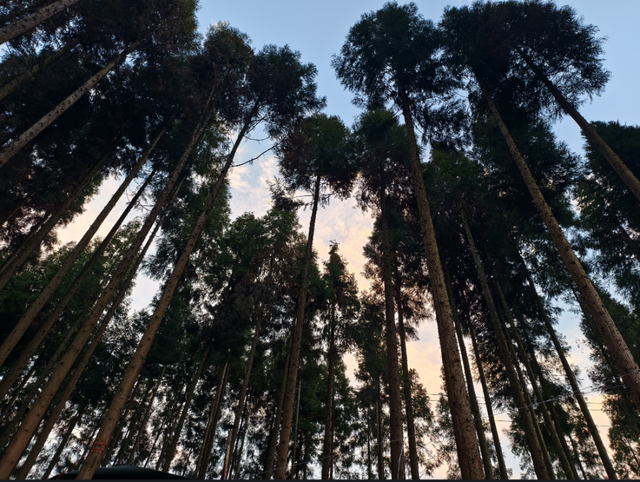 去白云看云——在黔山褶皱里，赴一场与云的慢遇