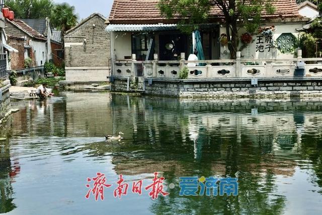 一年四季 泉在济南｜天光云影入泉来 王府池子展神韵