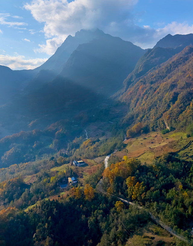 青睐绵阳 ‖ 云端公路 层林尽染！初冬驾游平武药丛山，限定版的视觉盛宴~