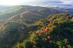 勐海童话｜马原：骗子蝙蝠的下场图片