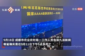 鲸鲨之死：成都海洋馆真相迷雾与责任拷问图片