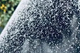 南京，下雪了！图片