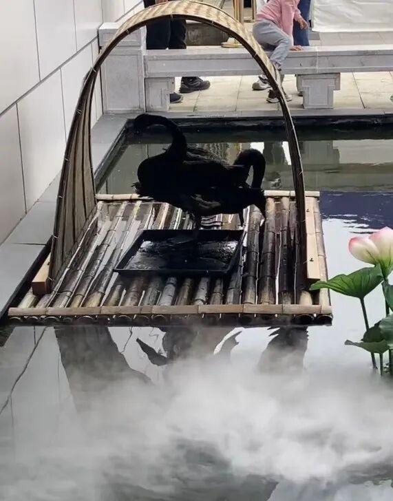 山东某高速服务区突然爆火！比景区的人还多！网友：原本只想来上个厕所，结果花出去500多，一进门我都蒙了