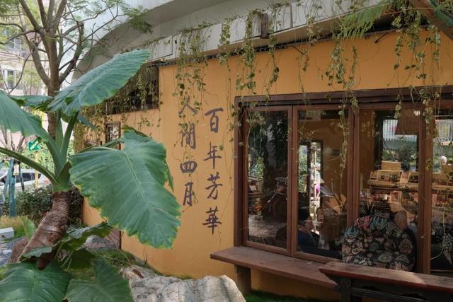 昆明最新网红打卡点！木质窗棂配拿铁香，翠湖边百年老街→浪漫咖啡长廊，拍照攻略来了！