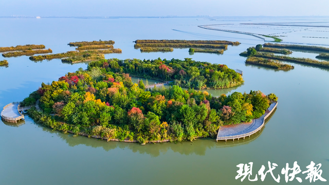 江苏常州金坛文化产业（上海）推介会在沪召开