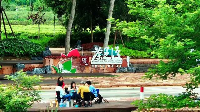 “双节”，这里茶香“醉”游人