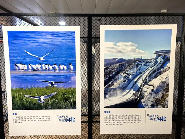 这么近，那么美，周末到河北2025河北文旅京津宣传推广周 | 张家口文旅走进北京西站