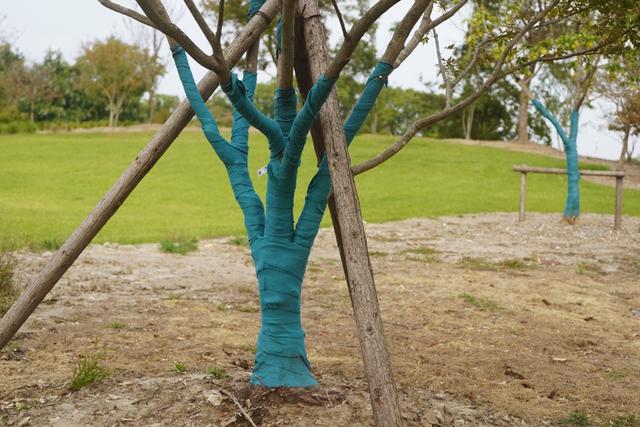 植物园不止失去一个秋天