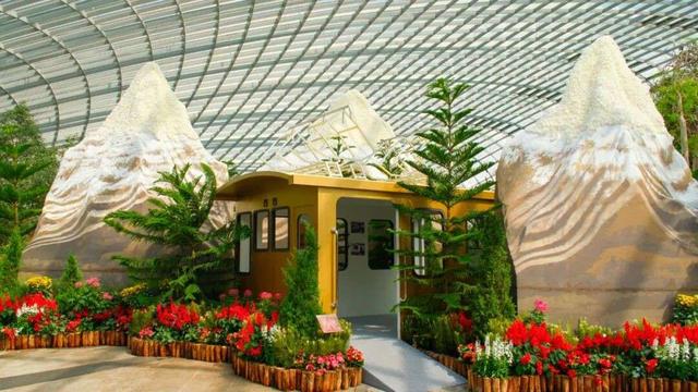 把阿尔卑风情搬到新加坡，滨海湾花园首办瑞士主题花展