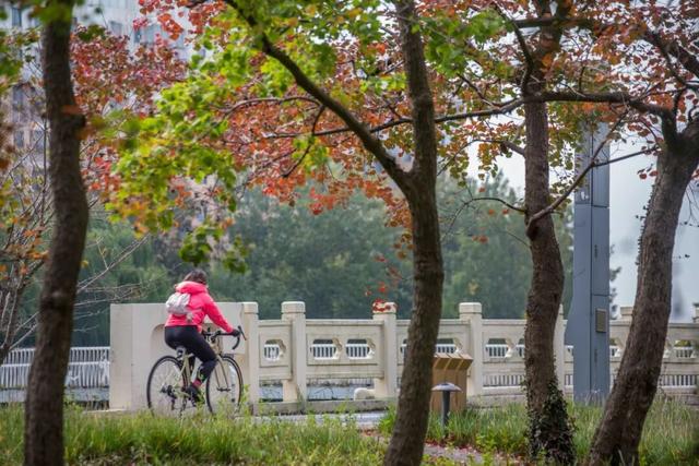 一大波美图袭来！长宁赏秋秘境藏不住啦～