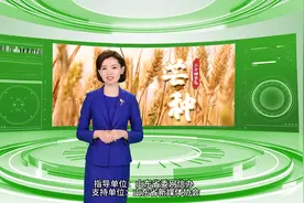 二十四节气·芒种图片