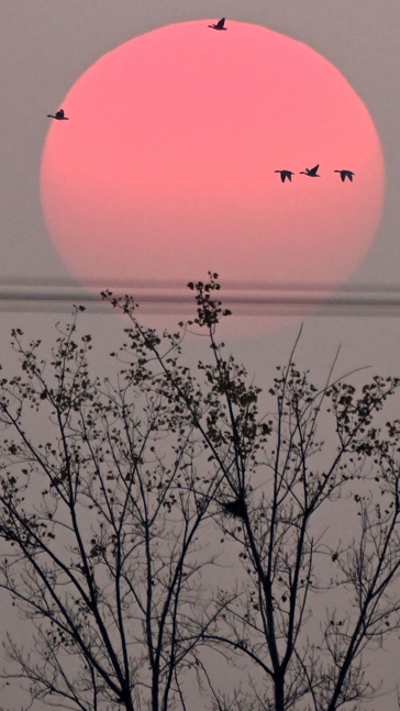 绝绝子！除了绝绝子，我还能怎么夸洛阳