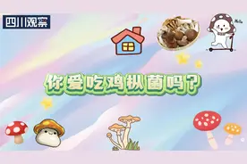 室内出菇！“鸡枞菌自由”要来了图片