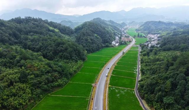 杭州绝美大道，全线完工！连接知名景区